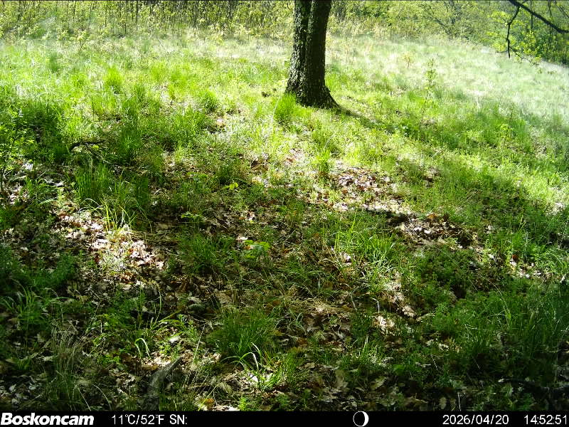 Camera in Field